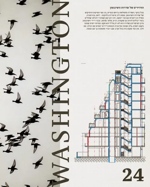 Poster - a flock of birds beside a vertical Washington and a building drawing