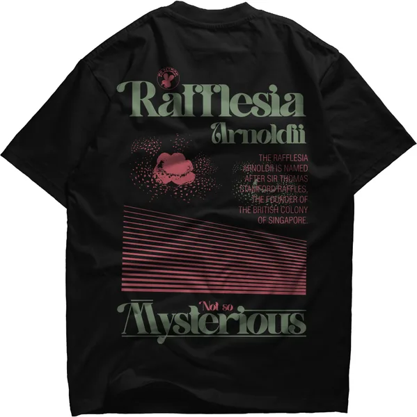 Black tee printed RaMesia Mysterious over a striped horizon