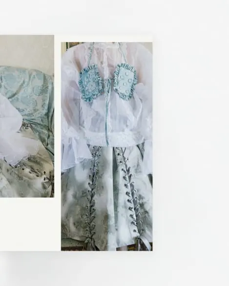 Editorial page - cropped details of a sheer embroidered garment