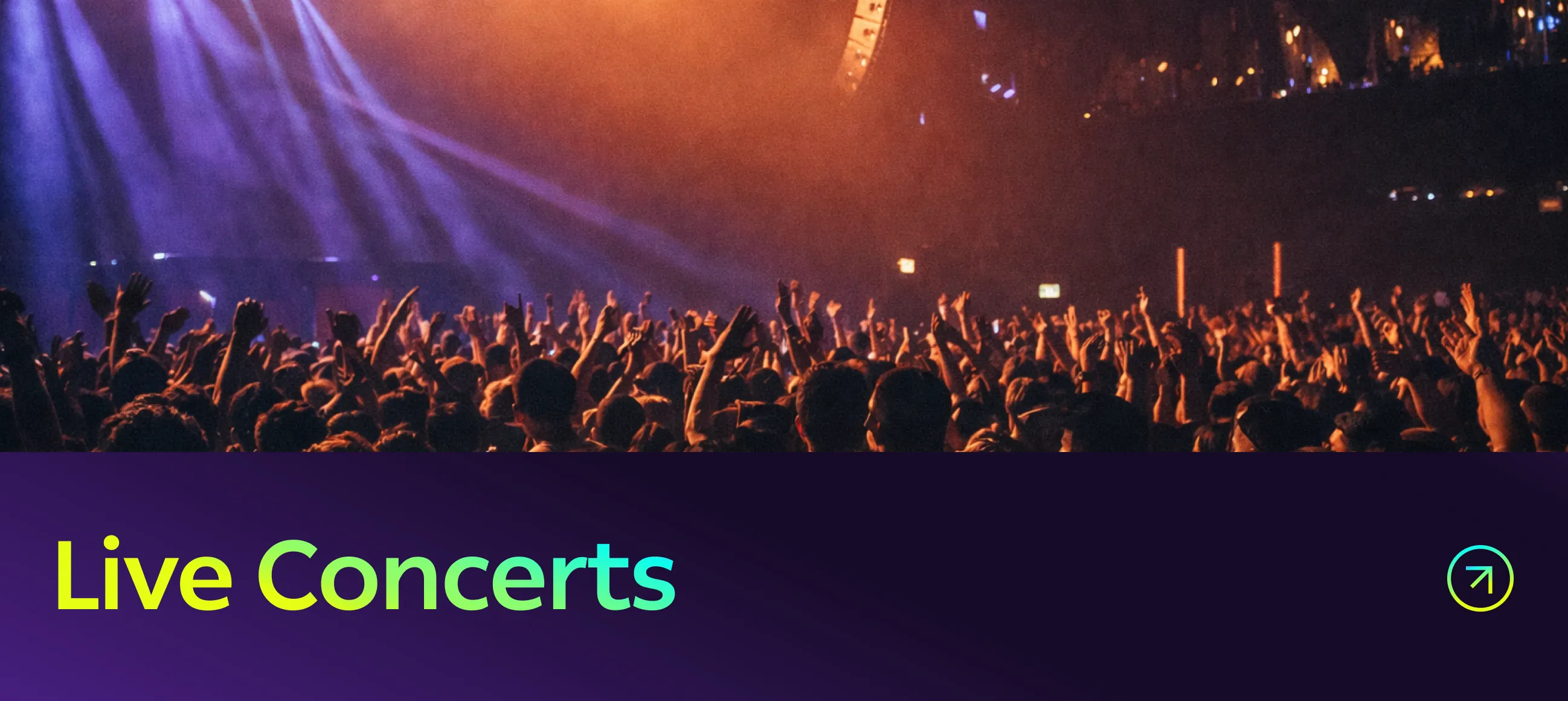 Live Concerts - a lit crowd facing a stage